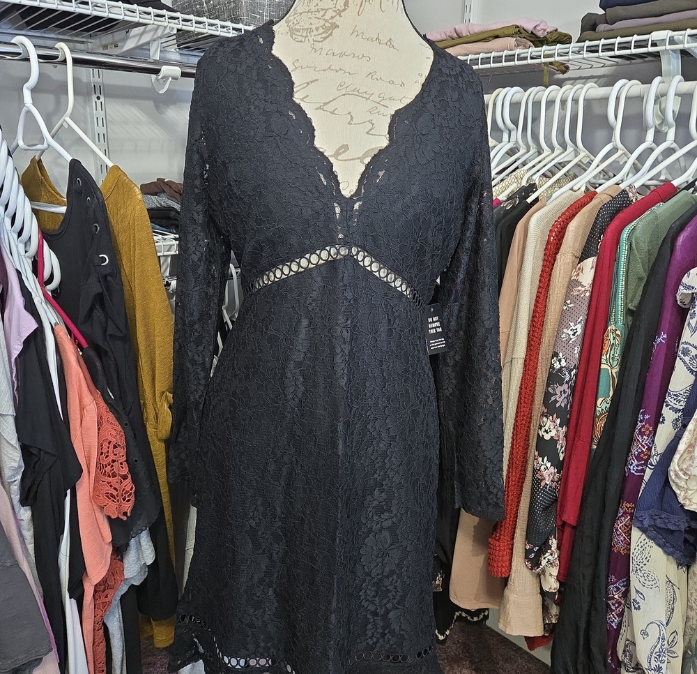 Black Lace V-Neck Long Sleeve Dress